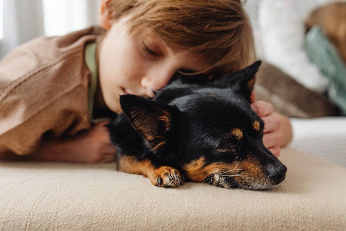 TA young boy rests his head on a sleeping black and tan dog on a couch.