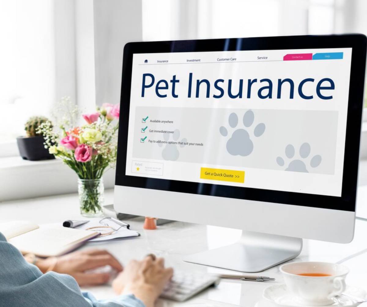 Person browsing a pet insurance website on a desktop computer in a bright office setting.