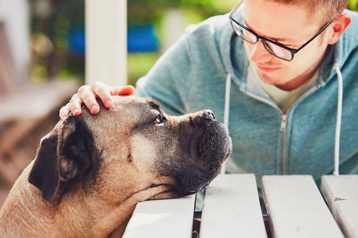 Man in glasses petting a large brown dog at a table outdoors.