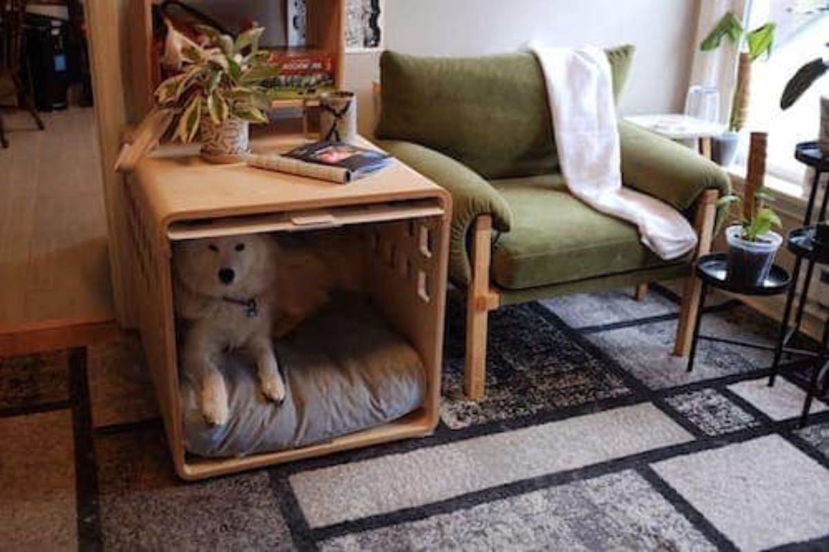 A white dog sitting inside a wooden kennel built into a living room side table, next to a green couch.
