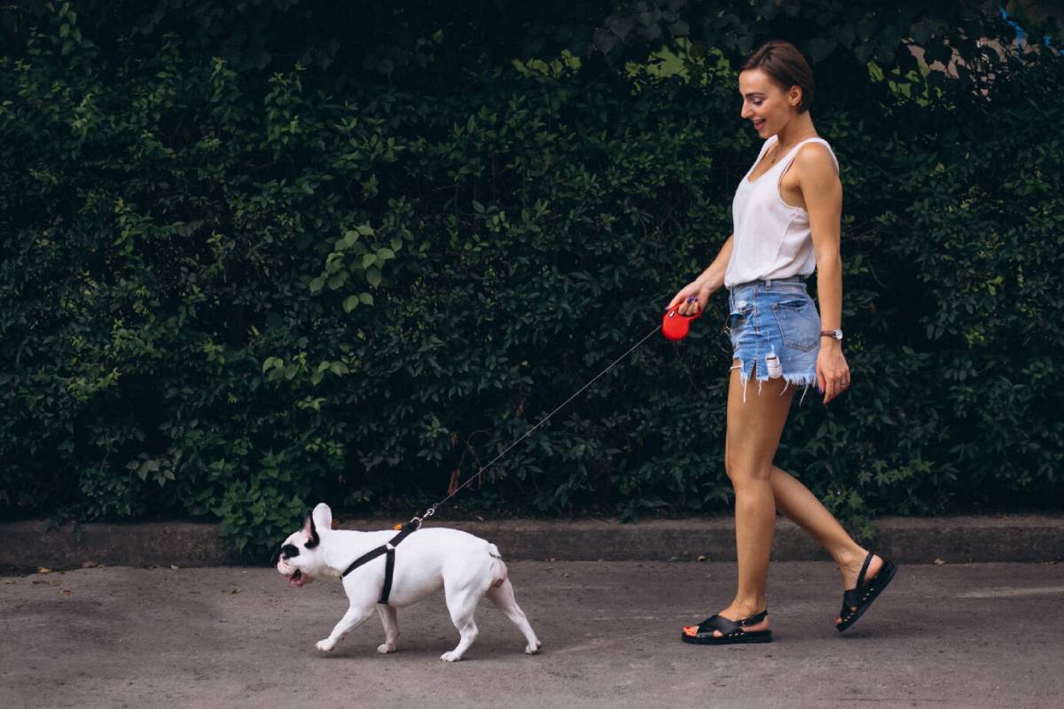 A young woman walks her French Bulldog on a leash along a tree-lined path.