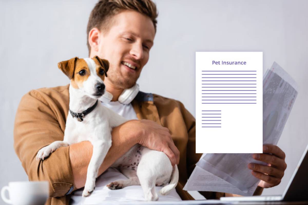 A smiling man holding a Jack Russell Terrier while looking at a "Pet Insurance" document.