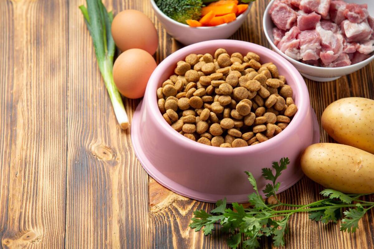 A pink bowl of dog food, surrounded by raw vegetables, eggs, and meat, on a wooden surface.