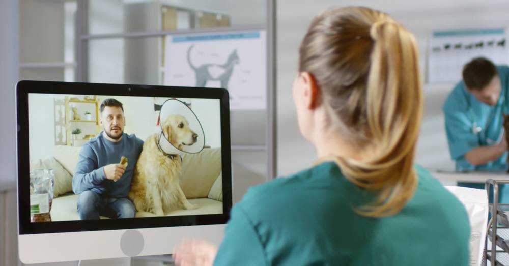 Woman at a clinic views a video call on her computer showing a man and his dog wearing a cone.