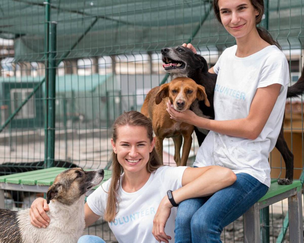 Two smiling women volunteers in white t-shirts with dogs at an animal shelter.