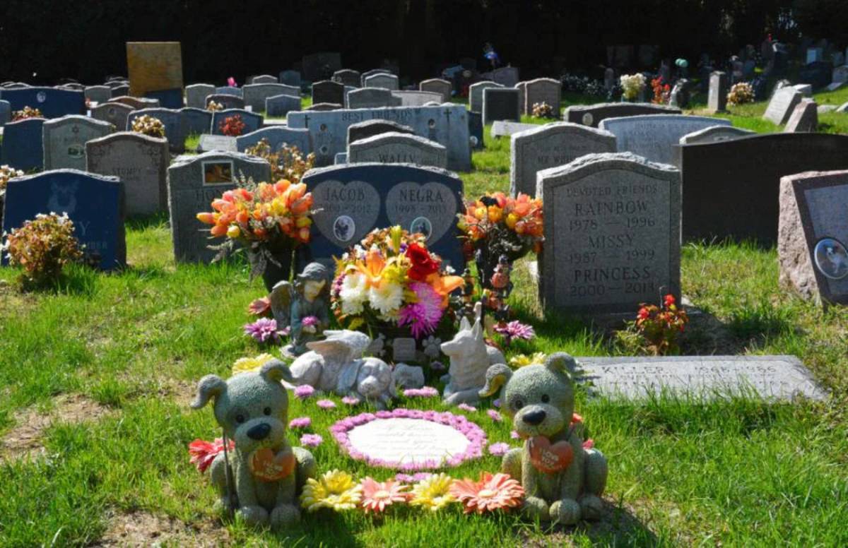 Two young adults and an older woman in black mourning clothes sit solemnly at a cemetery, expressing grief.