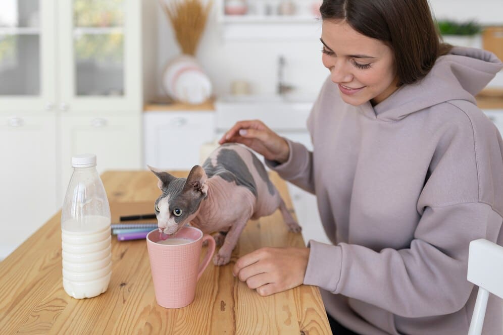 Young woman with a hairless cat drinking from a cup at a kitchen table.
