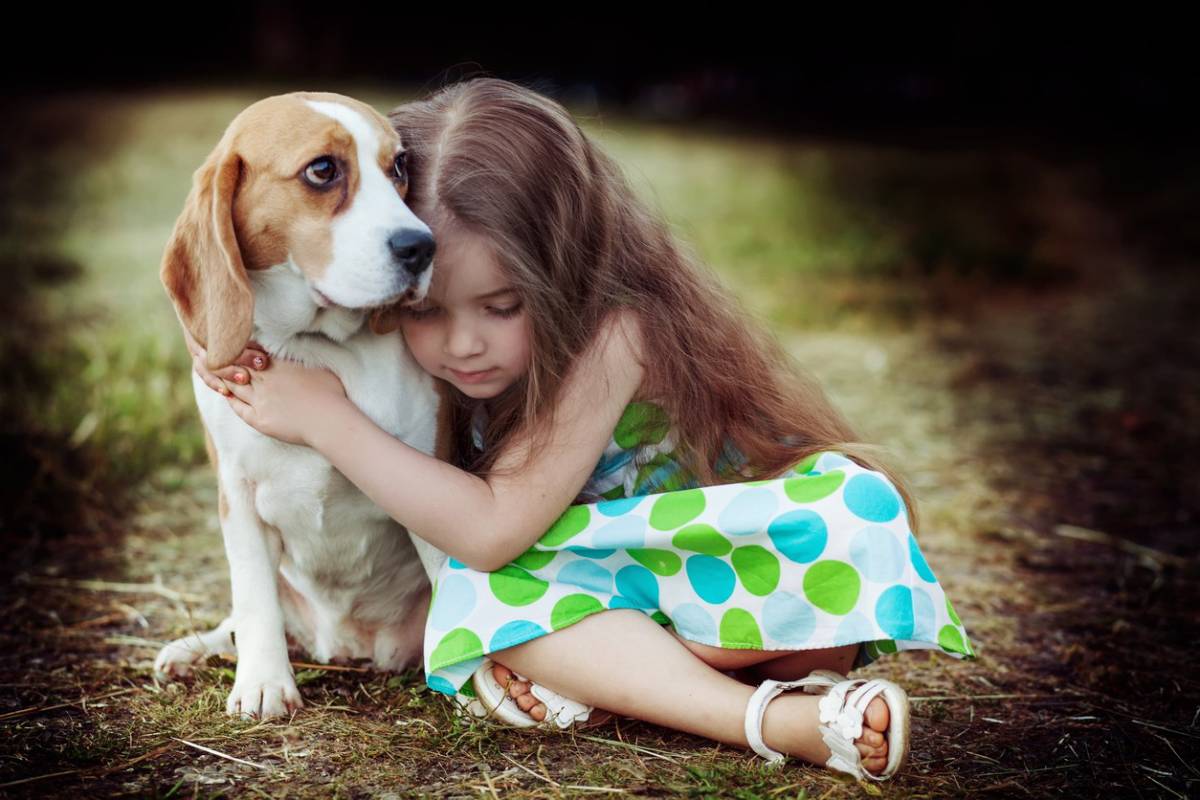 Young girl hugging a beagle dog in a grassy outdoor setting.